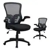 SAIBFARST Ergonomic Computer Chair