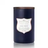 Manly Indulgence Dark Forest 20 oz Scented Wood Wick Jar Candle