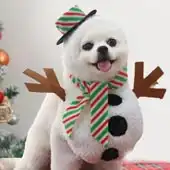 SPRING PARK Dog Christmas Olaf Costume
