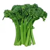 Broccolini 18 Count Per Case - Avg 12 Lb Case