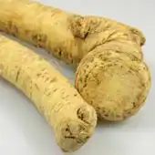 Fresh Horseradish - Avg 10 Lb Case
